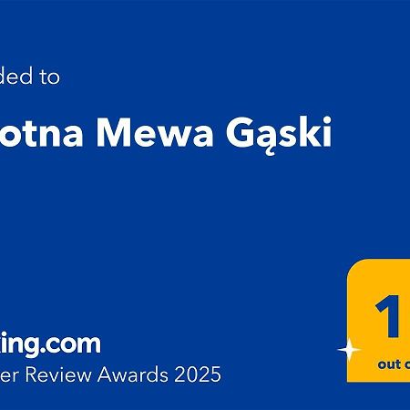 Zalotna Mewa Gaski المظهر الخارجي الصورة