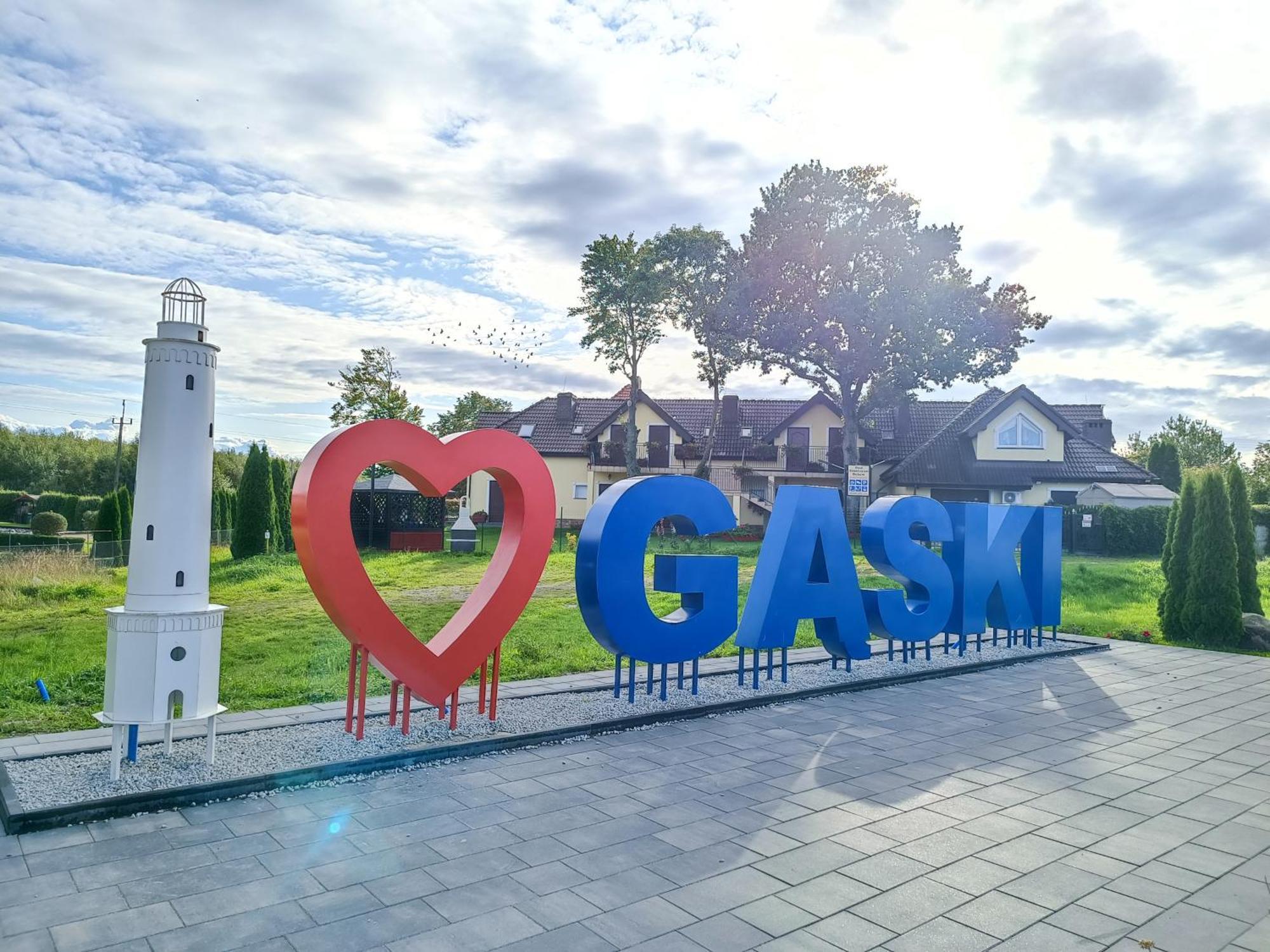 Zalotna Mewa Gaski المظهر الخارجي الصورة